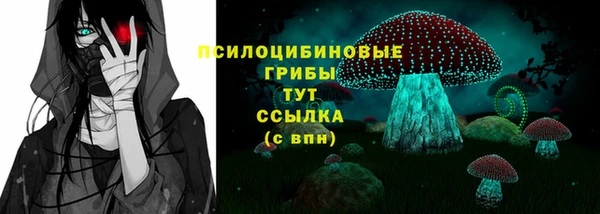 гидропоника Сатка