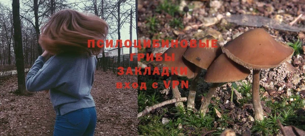 mdpv Саяногорск