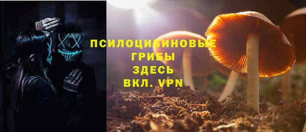 mdpv Саяногорск