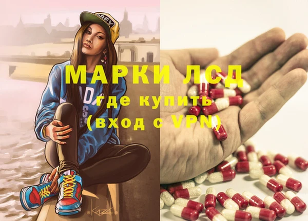 гидропоника Сатка