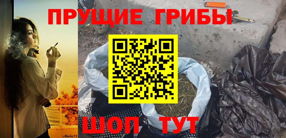 Галлюциногенные грибы GOLDEN TEACHER  Серпухов  где можно купить наркотик  Псилоцибиновые грибы GOLDEN TEACHER 