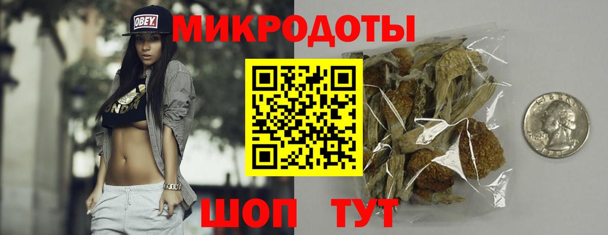 Галлюциногенные грибы Psilocybe Серпухов