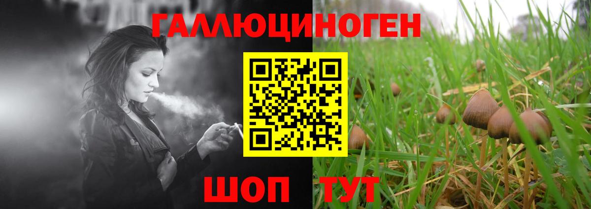 Галлюциногенные грибы мицелий  Вход с VPN  Галлюциногенные грибы MAGIC MUSHROOMS  Серпухов 